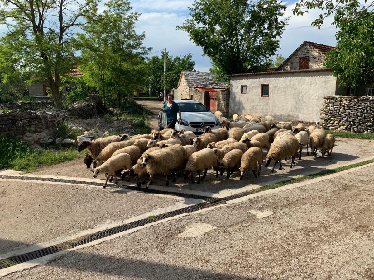 Ferienhaus Jadranka Kistanje Zewnętrze zdjęcie